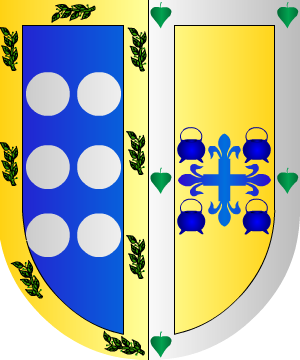 ESCUDO ALEATORIO